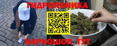 стафф Севастополь
