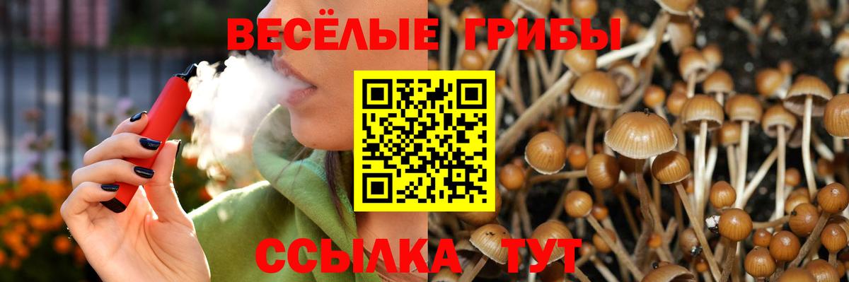 Ржев  Галлюциногенные грибы GOLDEN TEACHER  Вход с VPN 